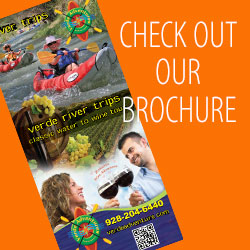 Check Out Our Brochure