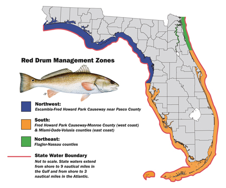 red drum management zone map