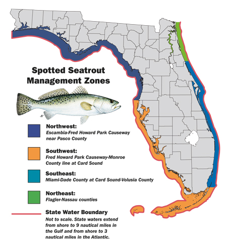 spotted seatrout management zone map