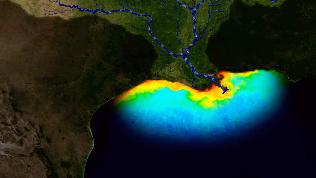 The gulf dead zone states within the Mississippi River