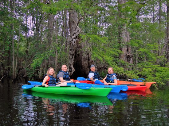 Gator bait adventure tours - gator bait adventure tours Our Guides are local and