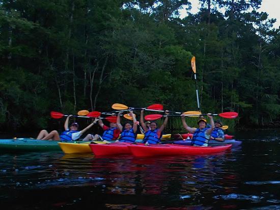 Gator bait adventure tours - gator bait adventure tours weather and sunset occasions