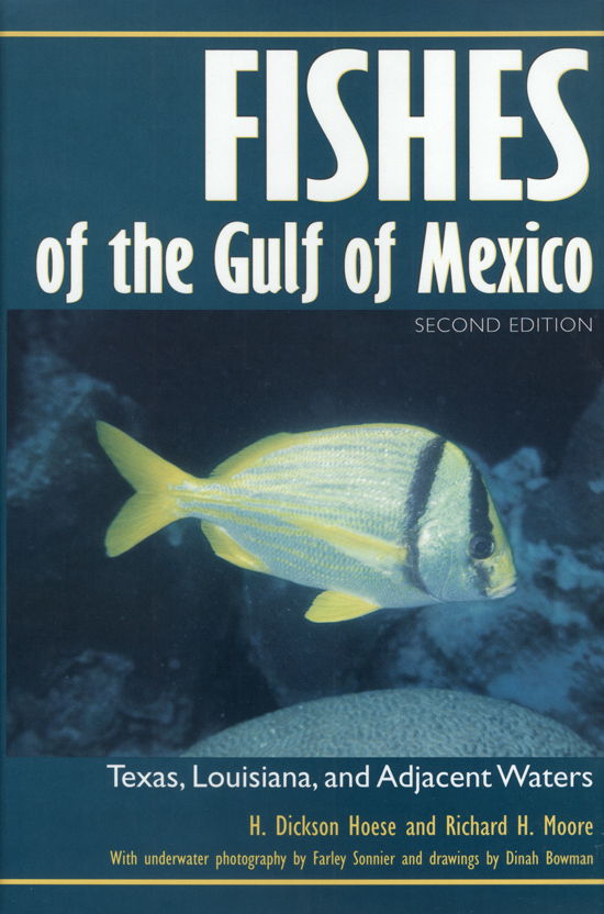 Gulf origin, waters, and biota - texas a&m college consortium press beginning point for